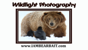 Jeff Pierson  - Wildlight Photography